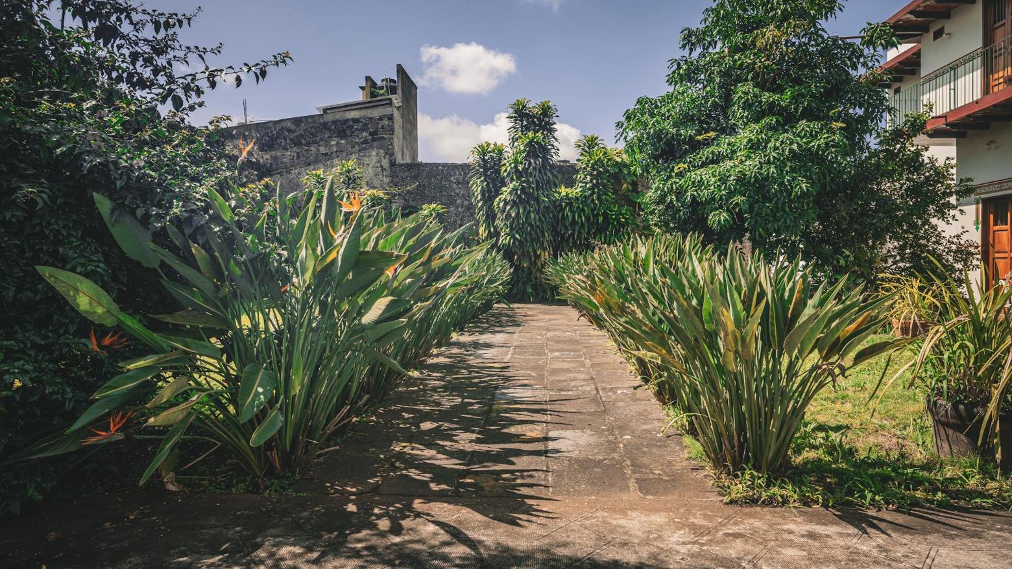 Hotel Montecillo Coatepec  Εξωτερικό φωτογραφία